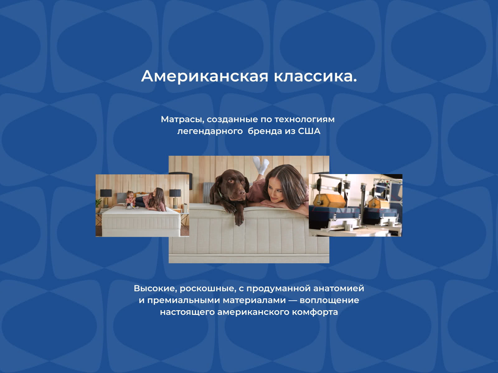 ������ ������ One Base Firm � ������������� ������ � �������� 1,5 ����