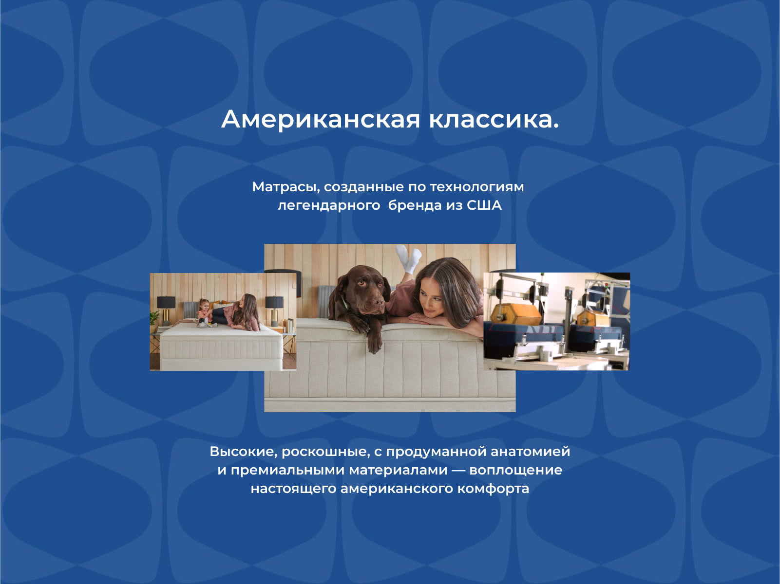 ������ ������ One Premier Firm � ������ �������: 34 ��. � �������� 1,5 ����