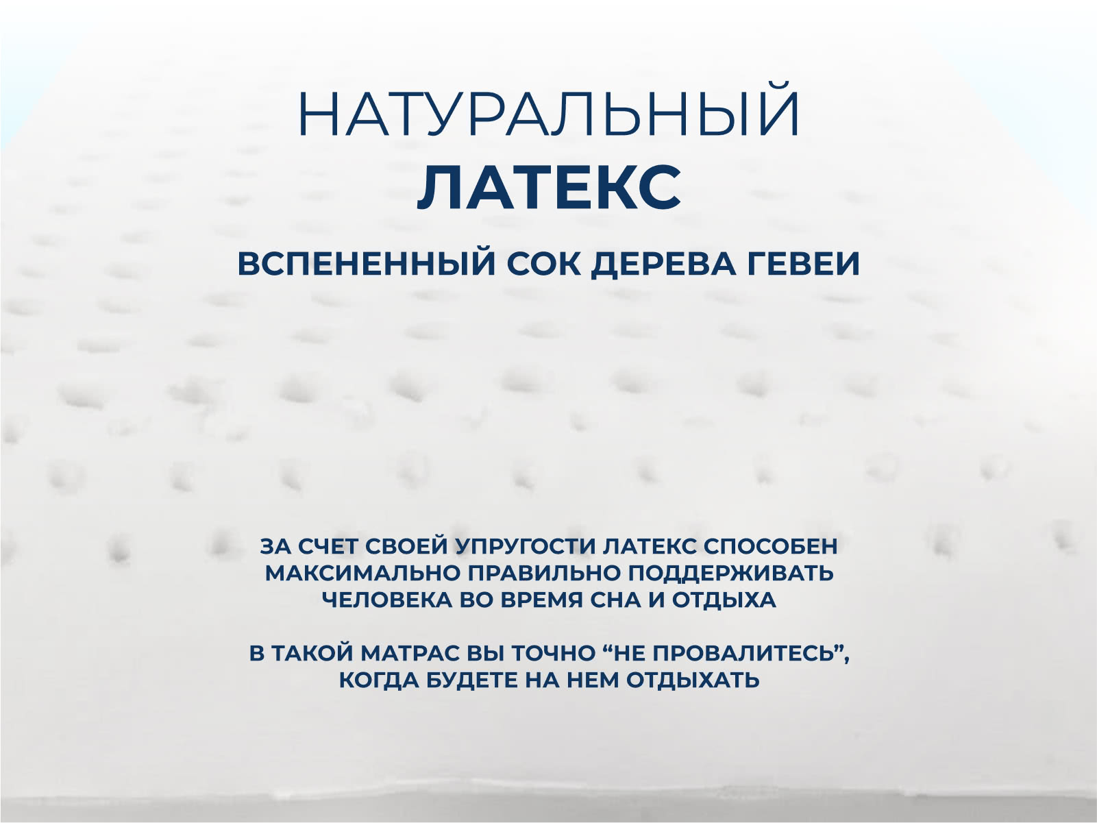 ������ Sleepline Latex Plus L � [120 x 200 ��] � ������������ ��� ������ ������������: 130 ��.