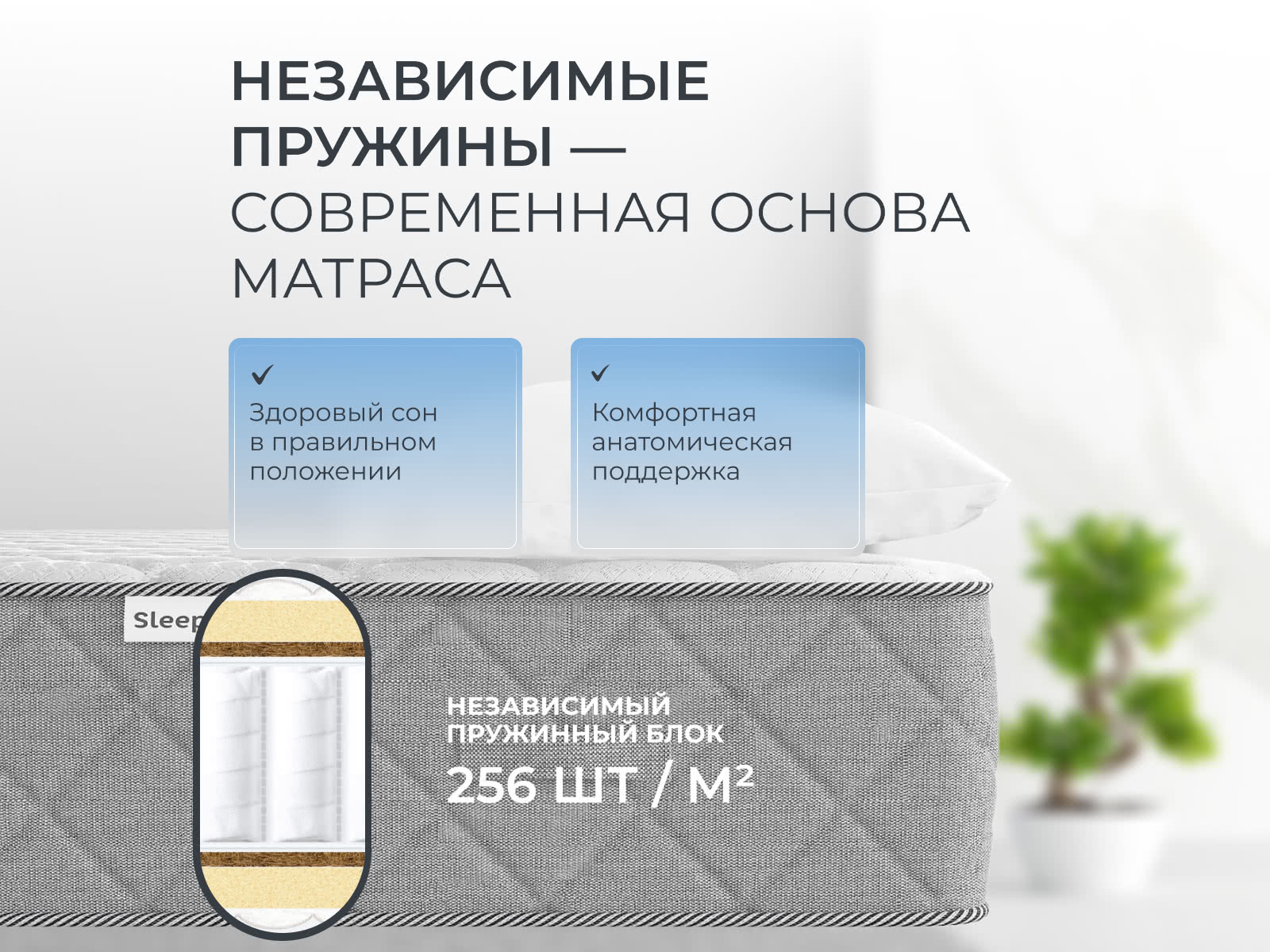 ������ Sleepline Victoria S500 � ����������� ��������� ����, 256 ������/�&sup2; � ������������ ��� ������ ������������: 120 ��.