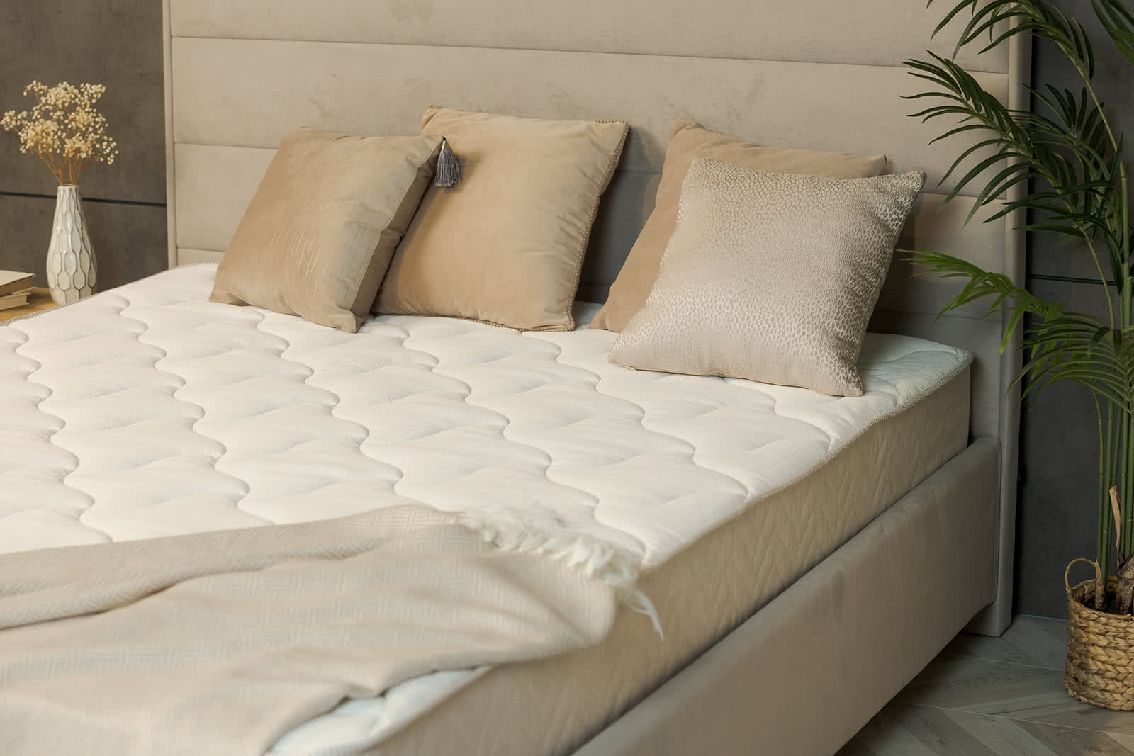 ������ Sontery Comfort Extra by Askona � [65 x 200 ��] � �������� 1,5 ����