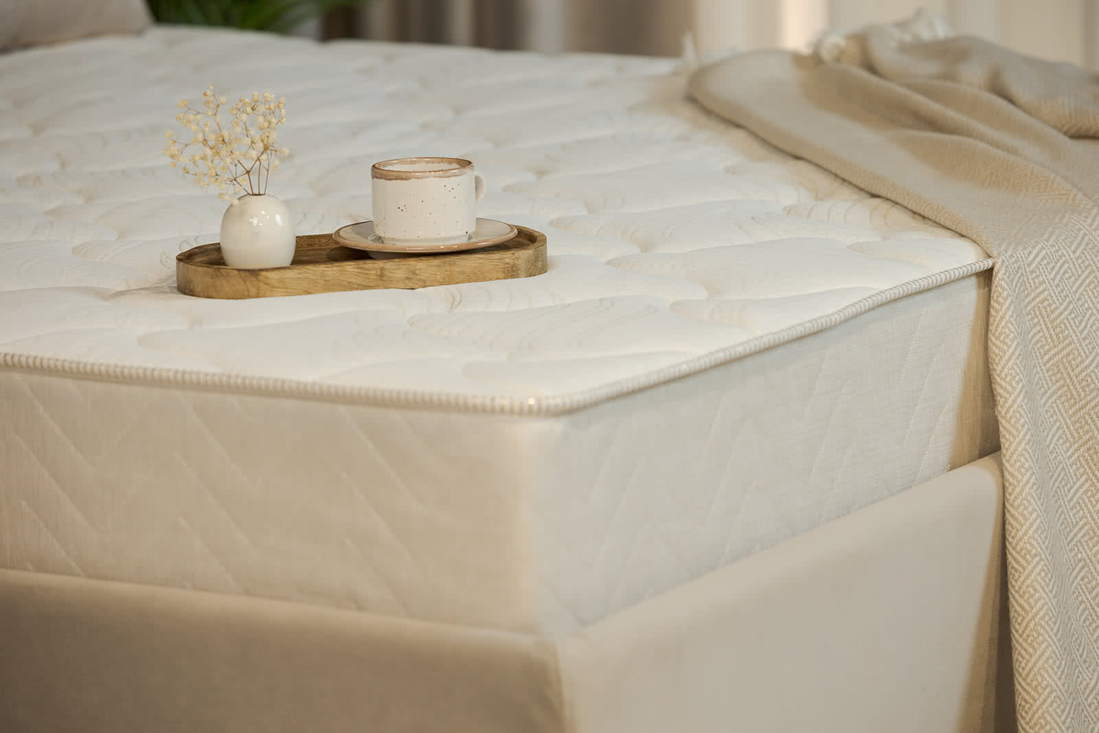 ������ Sontery Comfort Extra by Askona � ������ � �������� ������ � ����������� ��������� ����, 400 ������/�&sup2;, 5 ��� ���������