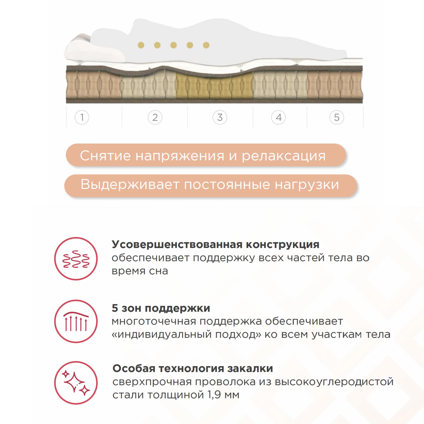 ������ Sontery Comfort Extra by Askona � ������ �������: ������-������ � ������� � ����������� ��������� ����, 400 ������/�&sup2;, 5 ��� ���������