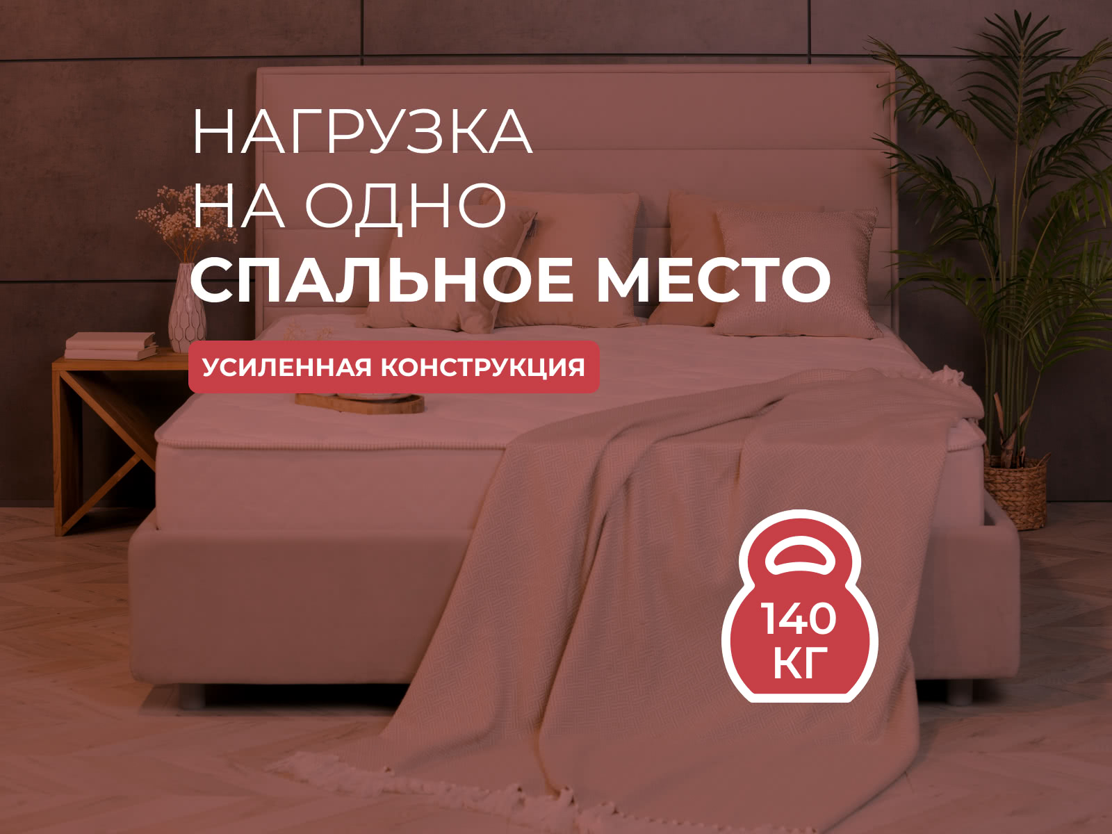 ������ Sontery Comfort Extra by Askona � [65 x 200 ��] � ���� 19367 �.