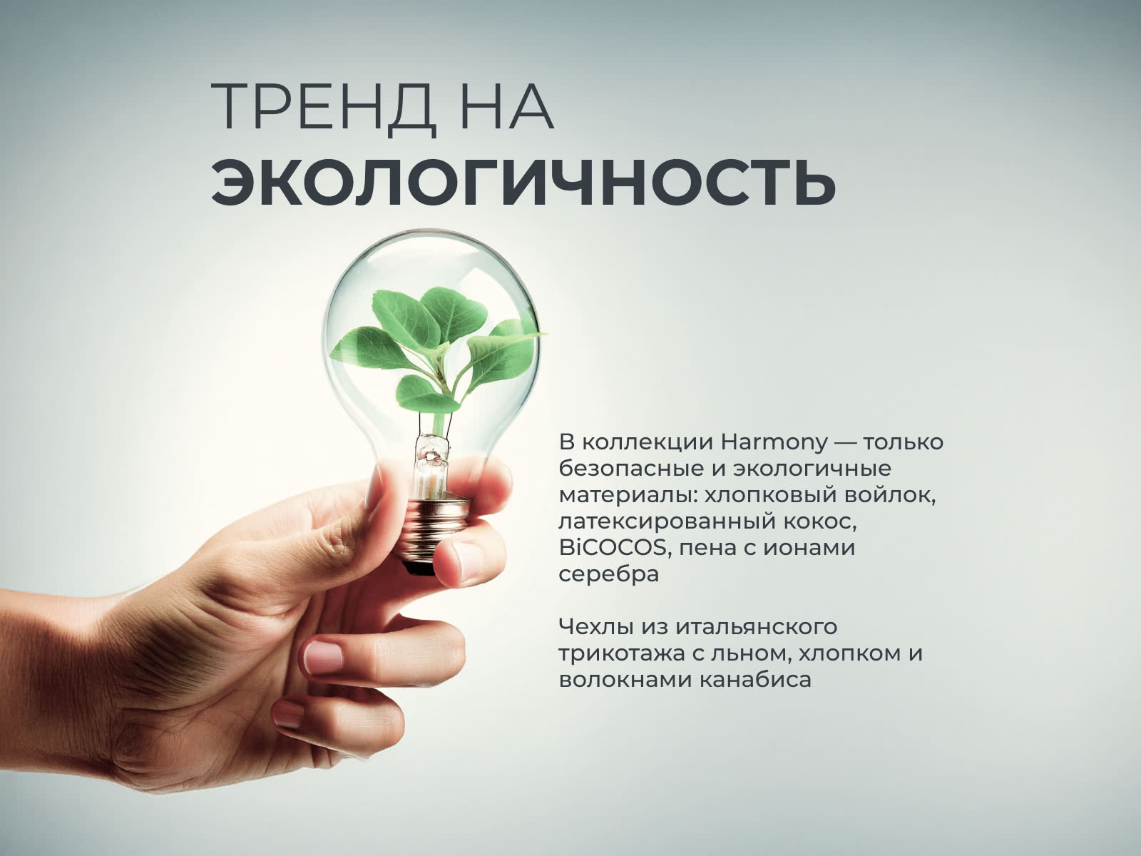 ������ Sontery Harmony Energy by Askona � ����������� ��������� ����, 275 ������/�&sup2;, 7 ��� ��������� � 32 �������