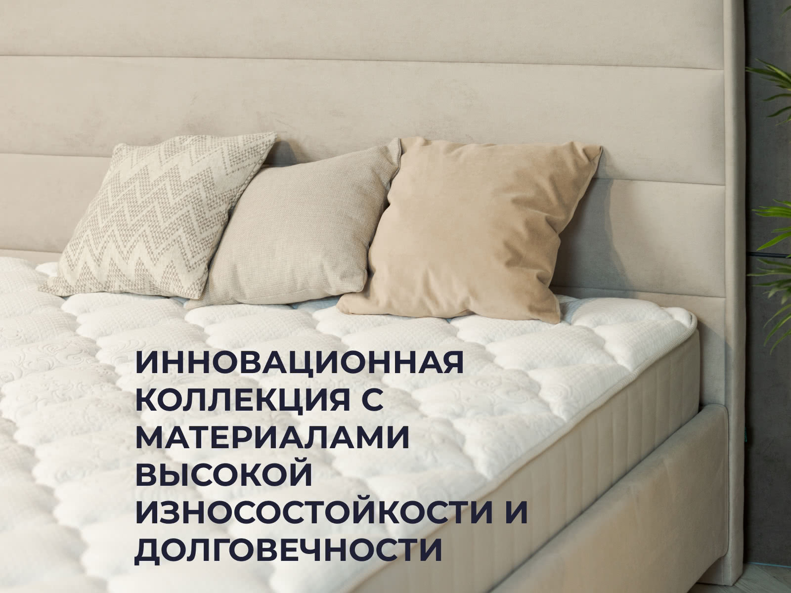 ������ Sontery Infinity Perfection by Askona � ���� 24115 �. � ��������� �������, ������������ ���: 150 ��.