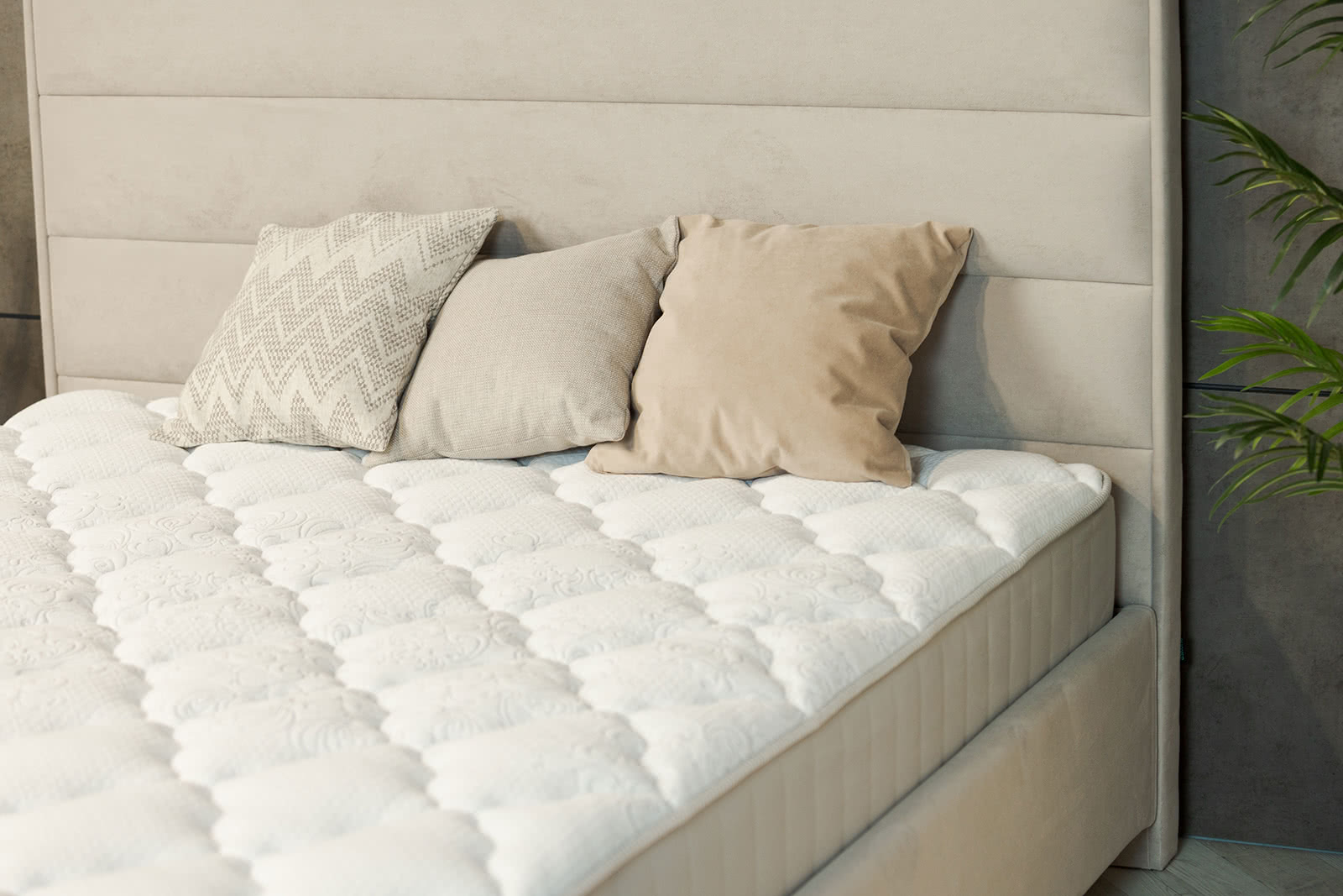 ������ Sontery Infinity Style by Askona � ������-������� ������ � ����������� ��������� ����, 500 ������/�&sup2;