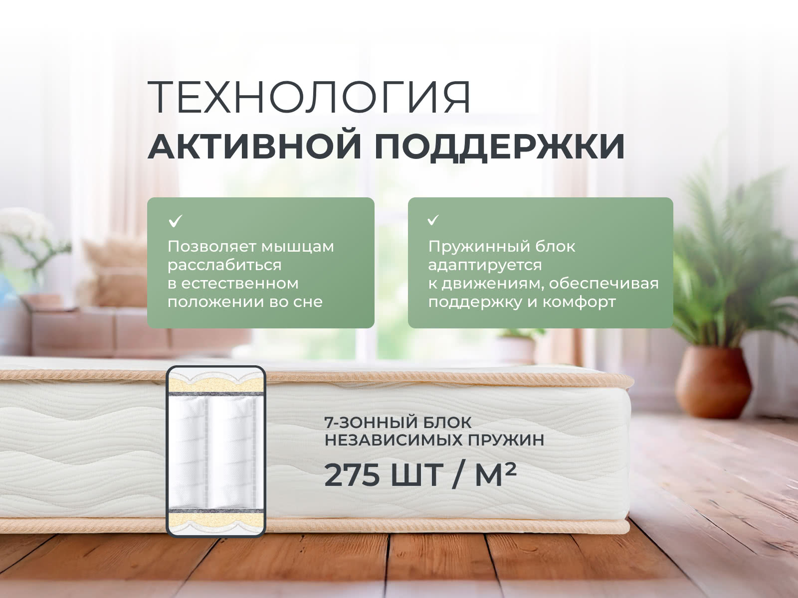 ������ Sontery Harmony Tonus by Askona � ������-������� ������ � 5 ��������