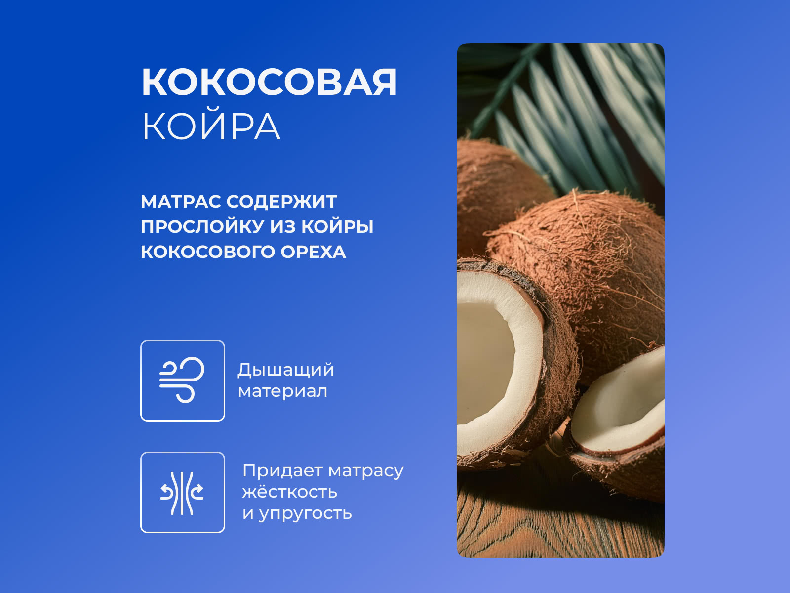 ������ TabbyRoll 18K � ������ �������: 20 ��.