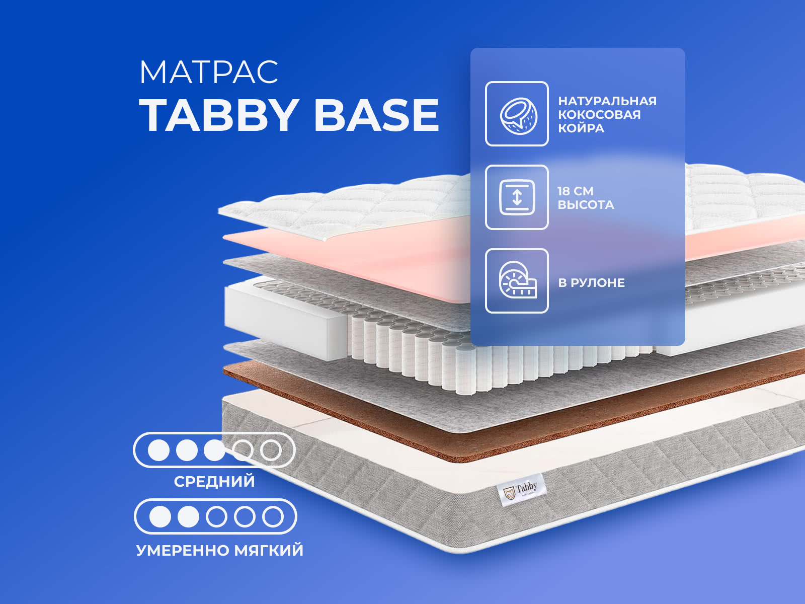 ������ ������ Tabby Tabby Base