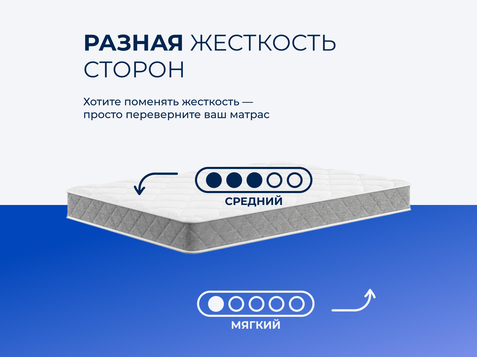 ������� ����� ����