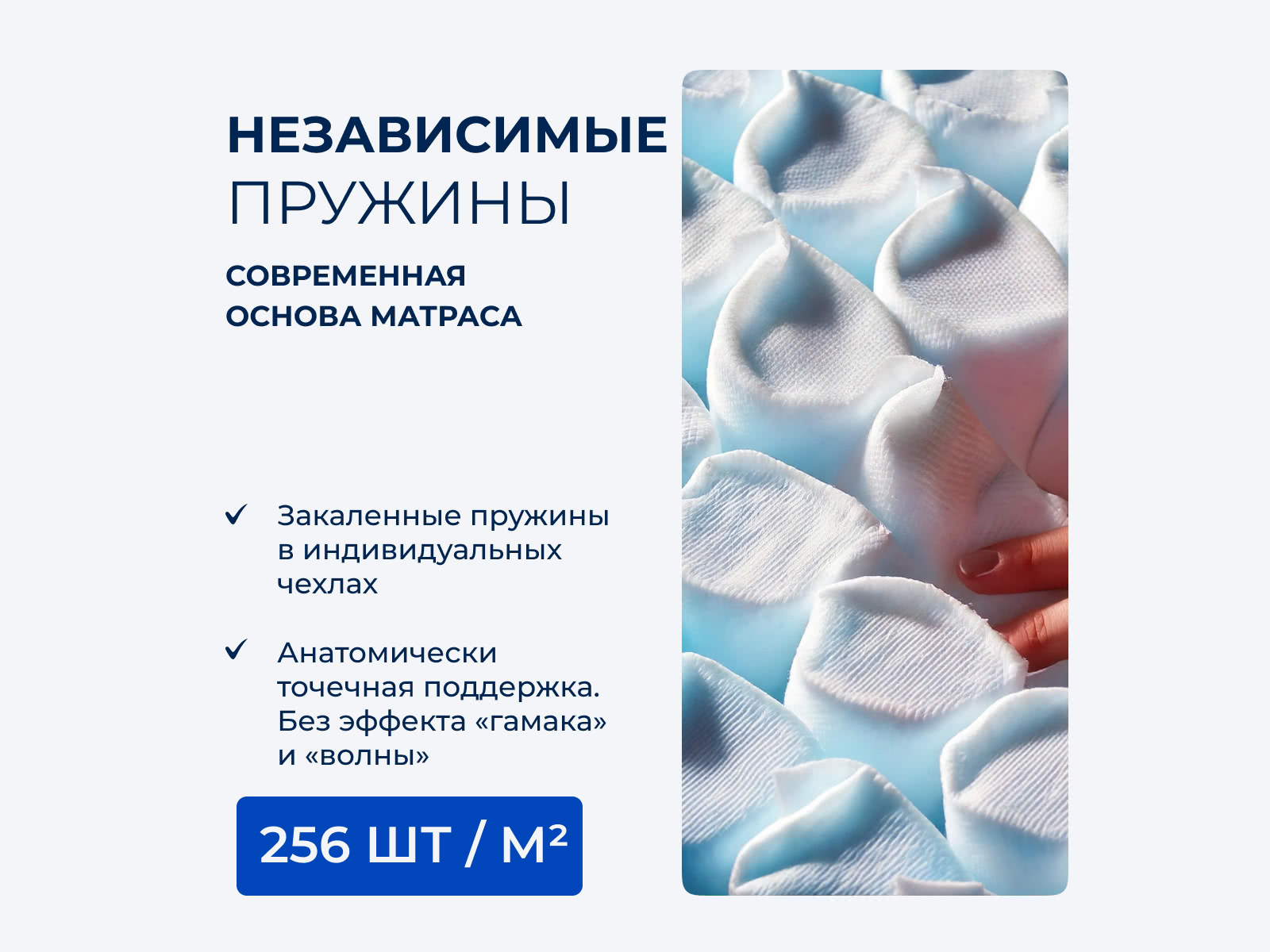 ������ Tabby Soft � ���� 11088 �. � ������ �������: 20 ��.