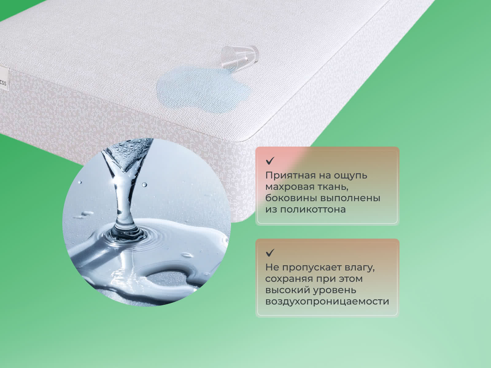 ������������ �������� ����