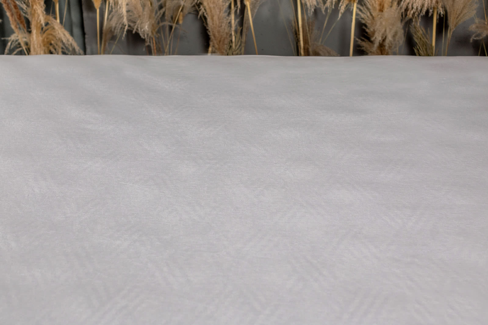 ������ ����������� Materlux ����������� ��������