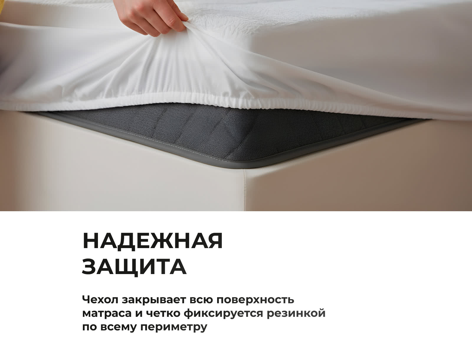 ������������ ����� ����