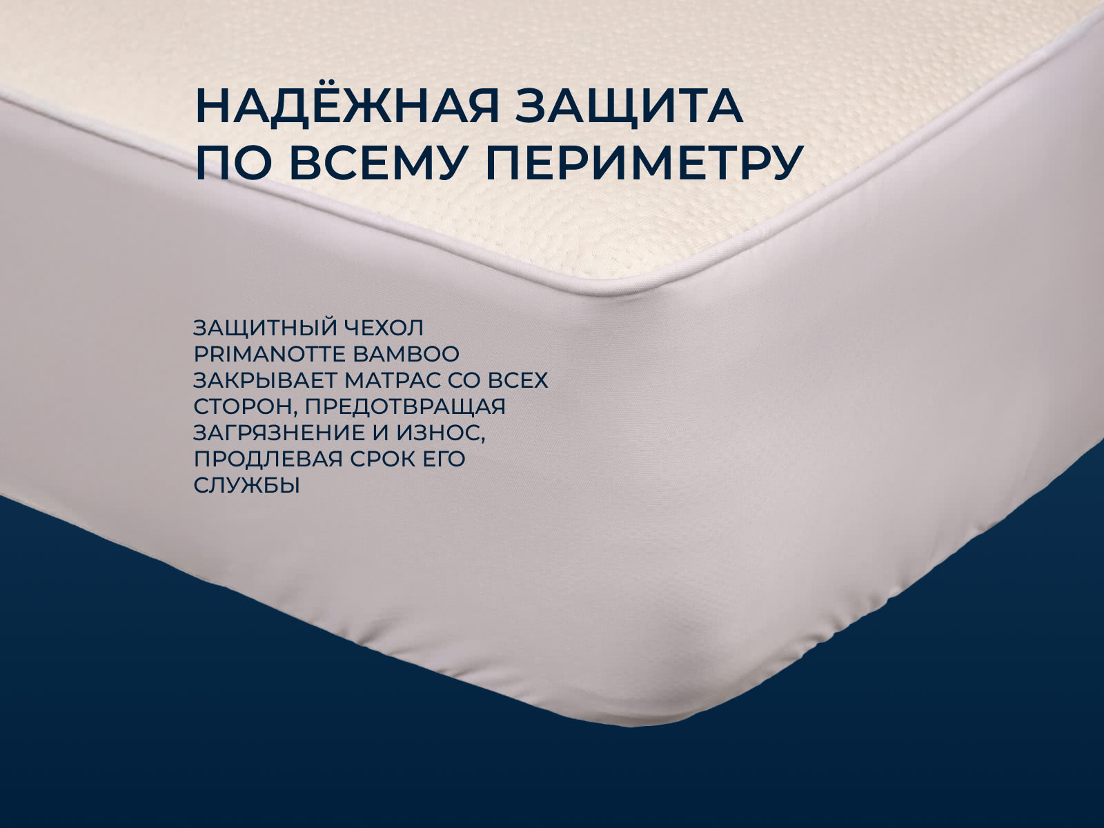 ������������ �����