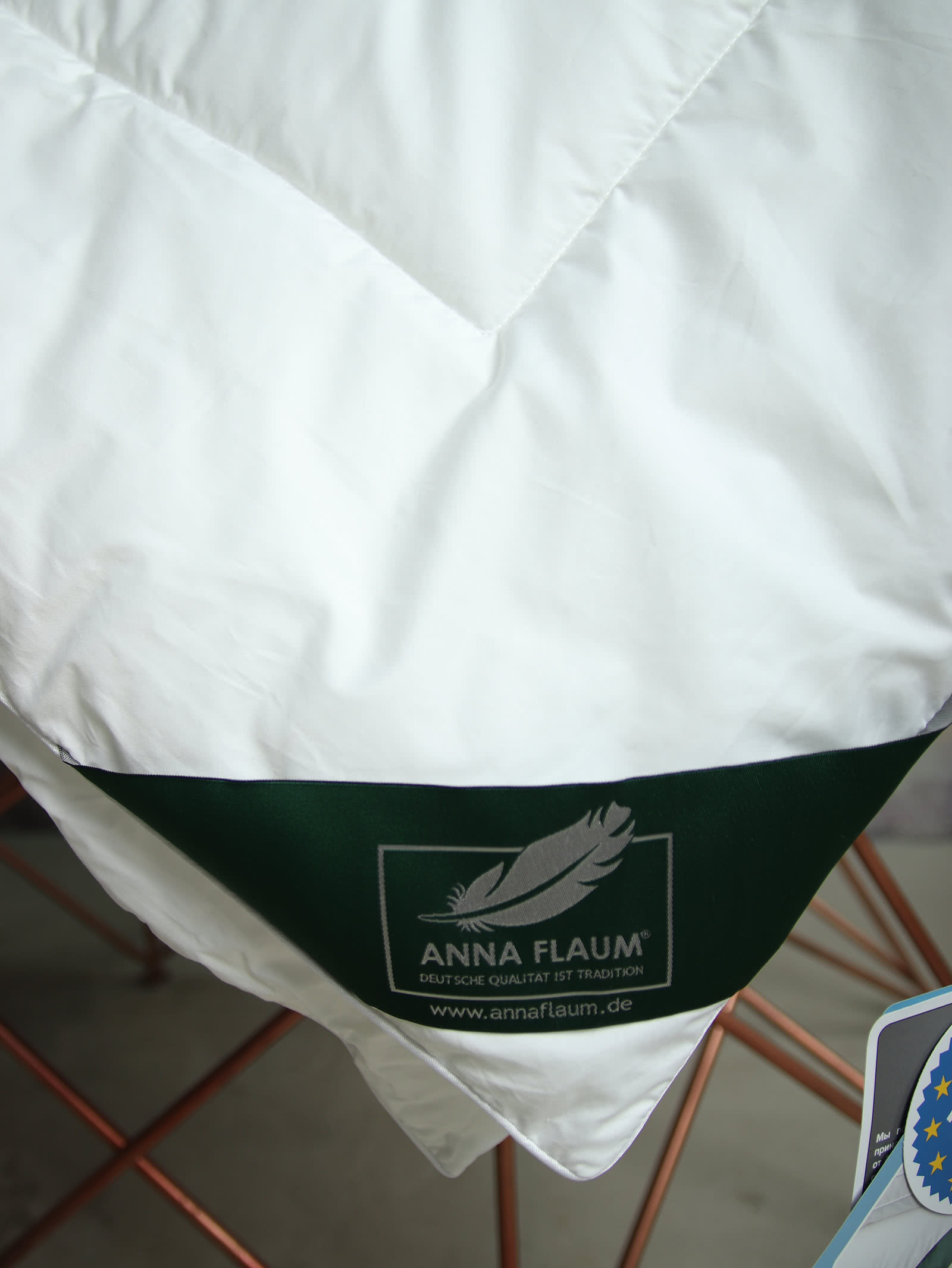 ������ Anna Flaum Fitness, ����������� � ������������� ��� � 29 ��������