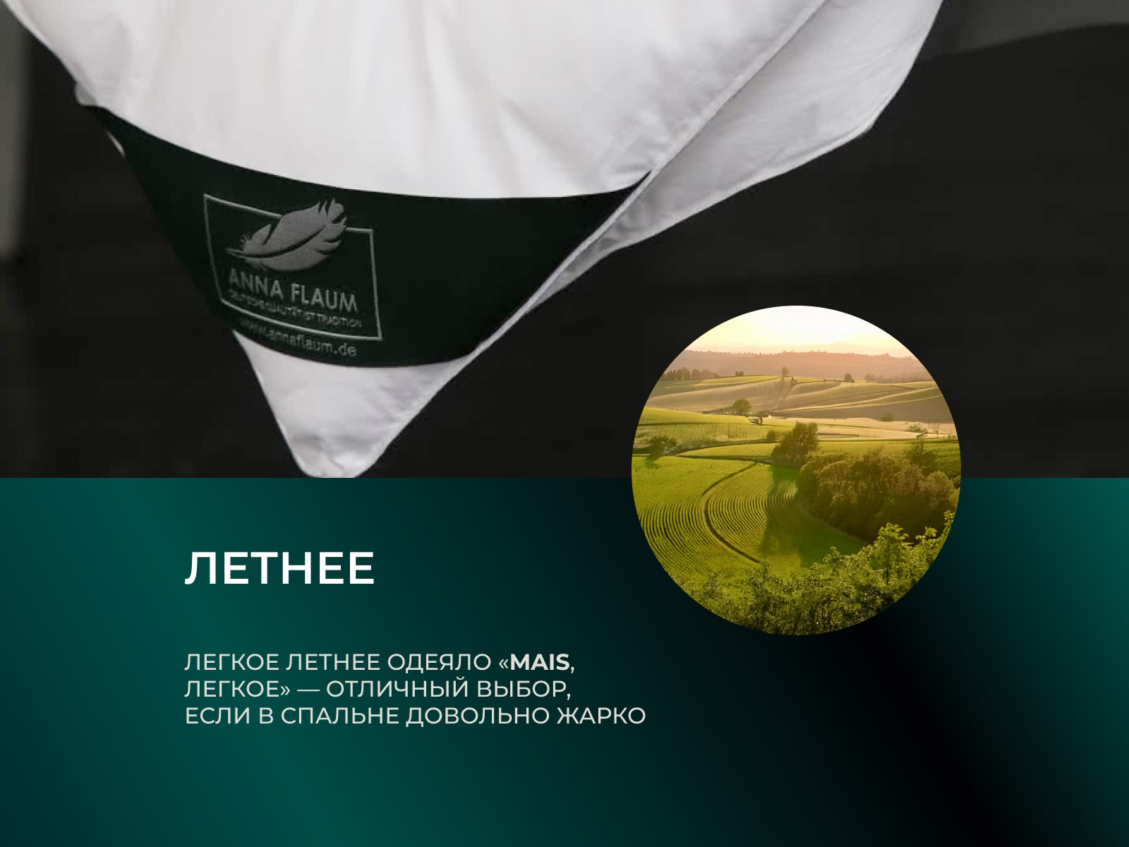 ������ Anna Flaum Mais, ������ � ������ � ���������� �������