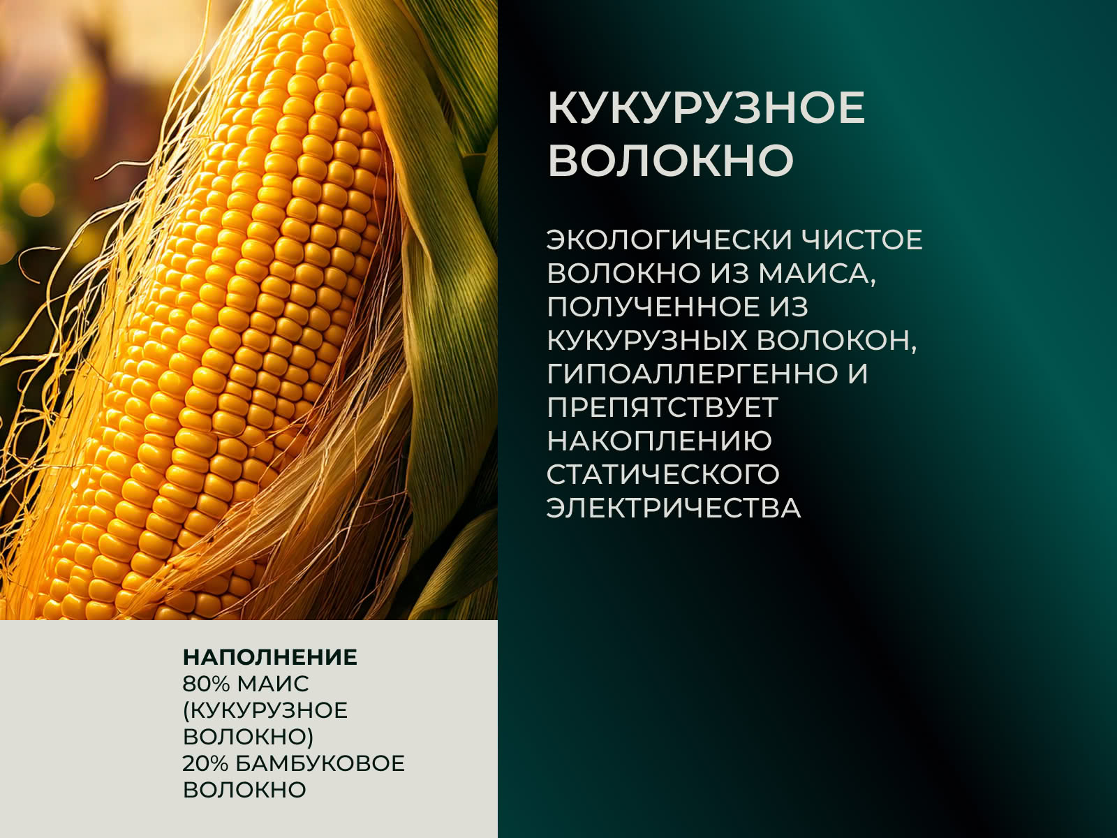 ������ Anna Flaum Mais, ������ � ���� 12225 �. � 38 ��������