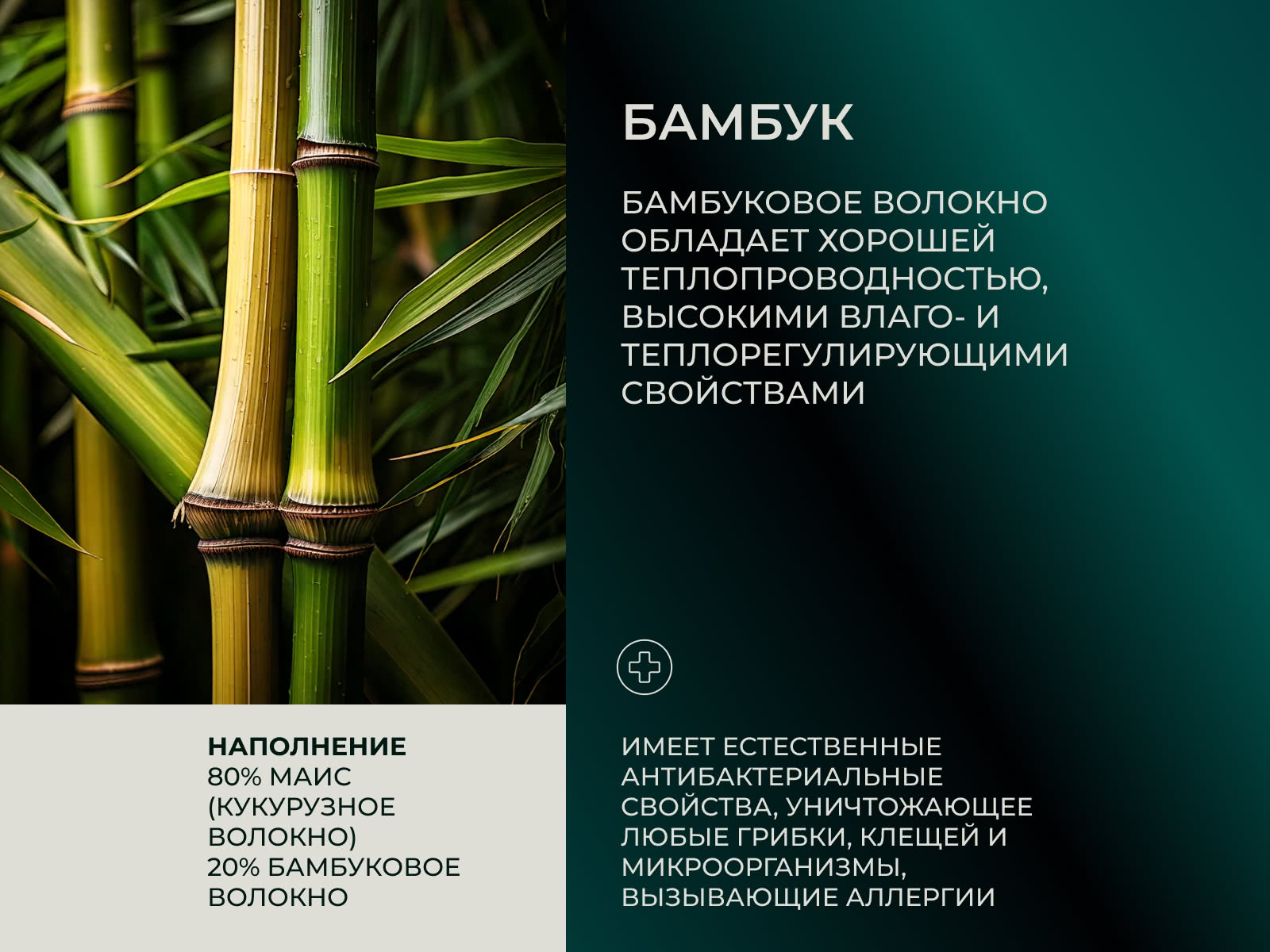 ������ ������ Anna Flaum Mais, ������ ��������