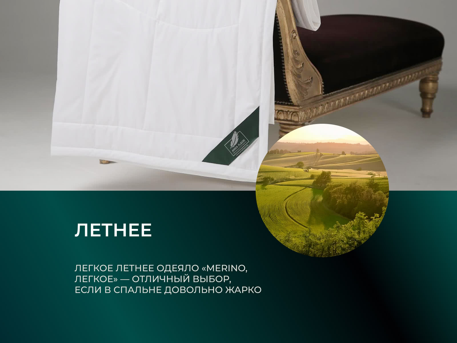 ������ Anna Flaum Merino, ������ � ���� 15118 �. � 39 ��������