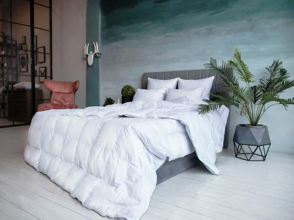 ������ ����� ������� ���� ���� all seasons