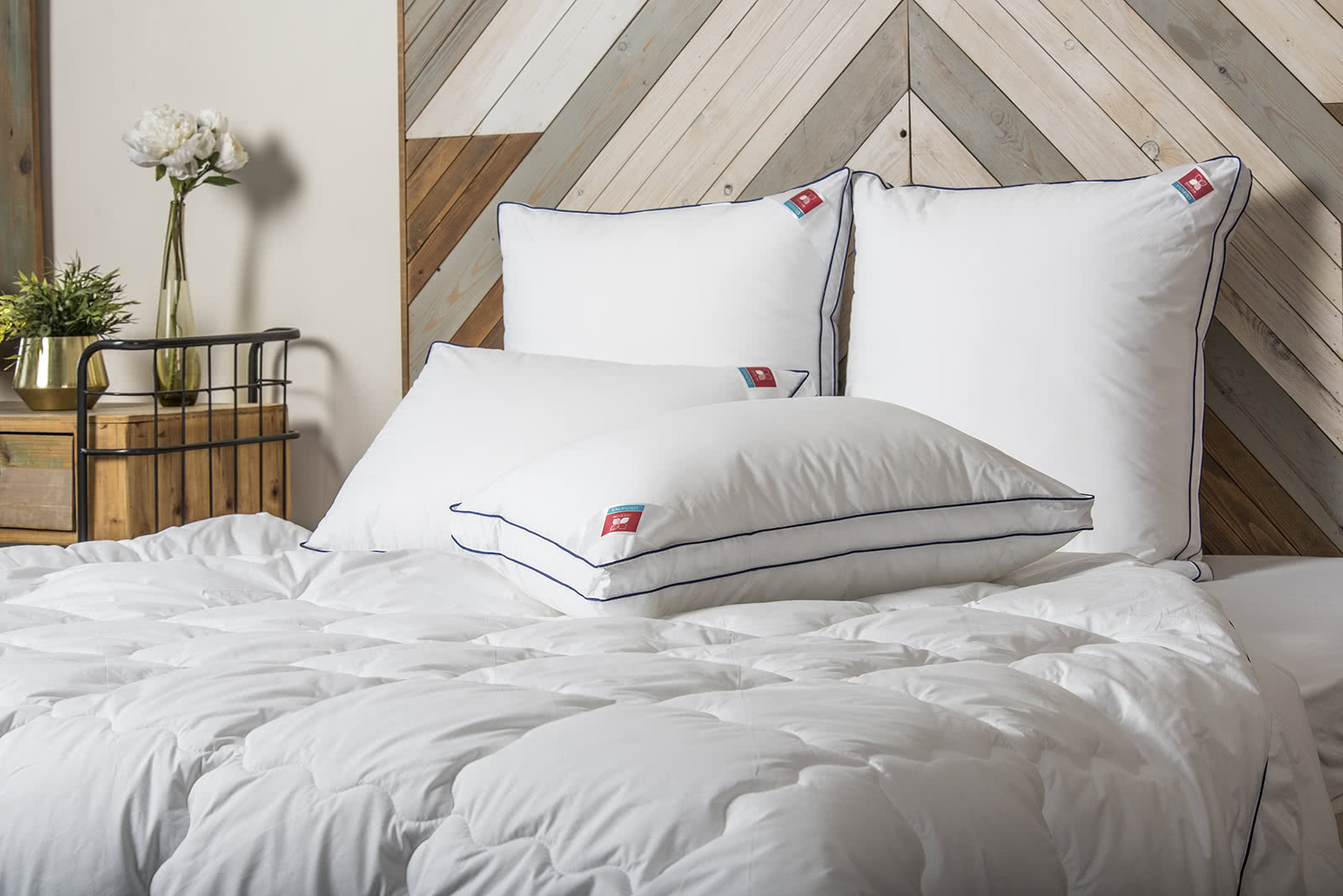 ������ ������ ������ ��� �����, ������ ��������