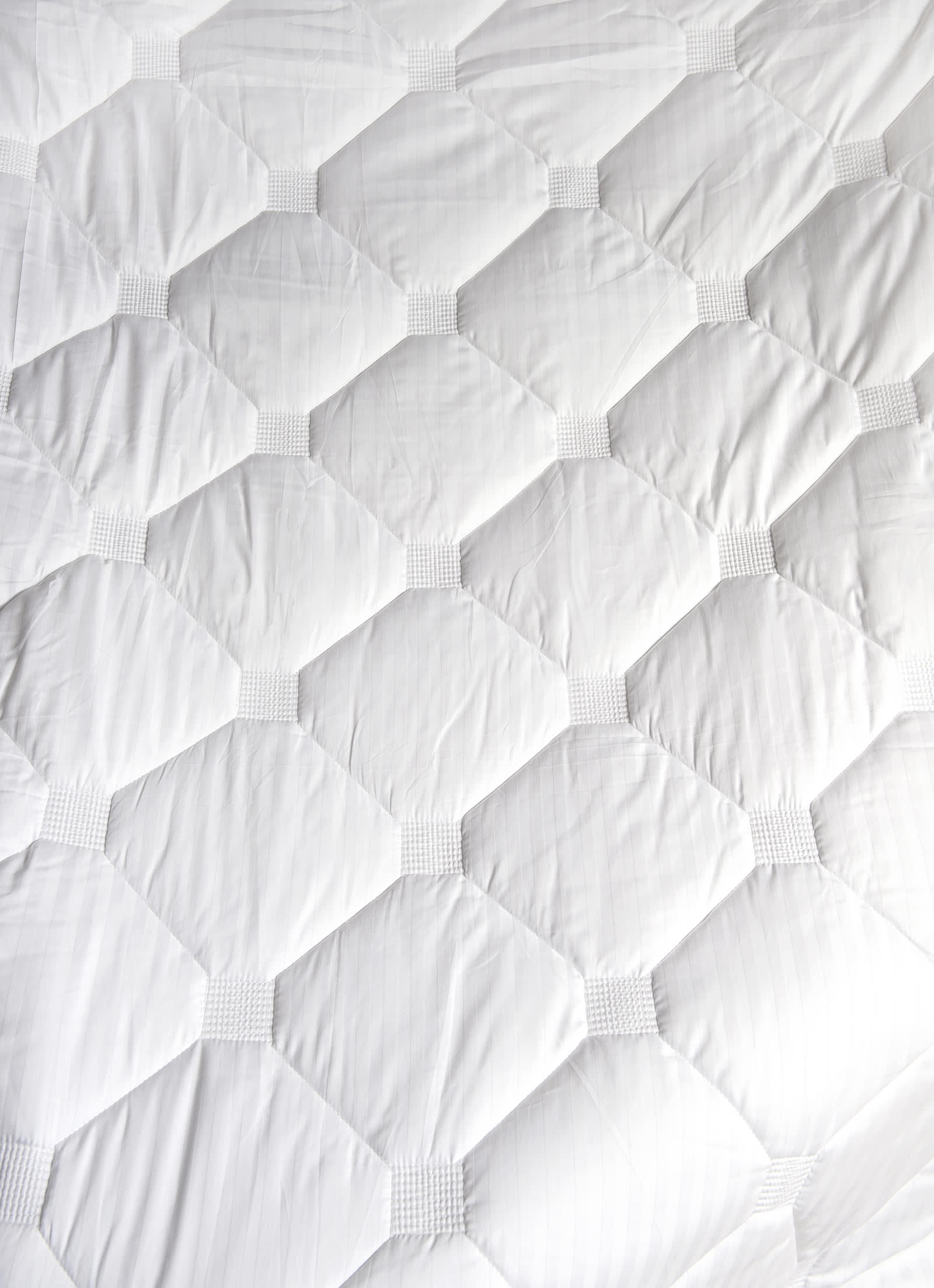 ������ ������ ������ ��� ������, ������ ��������