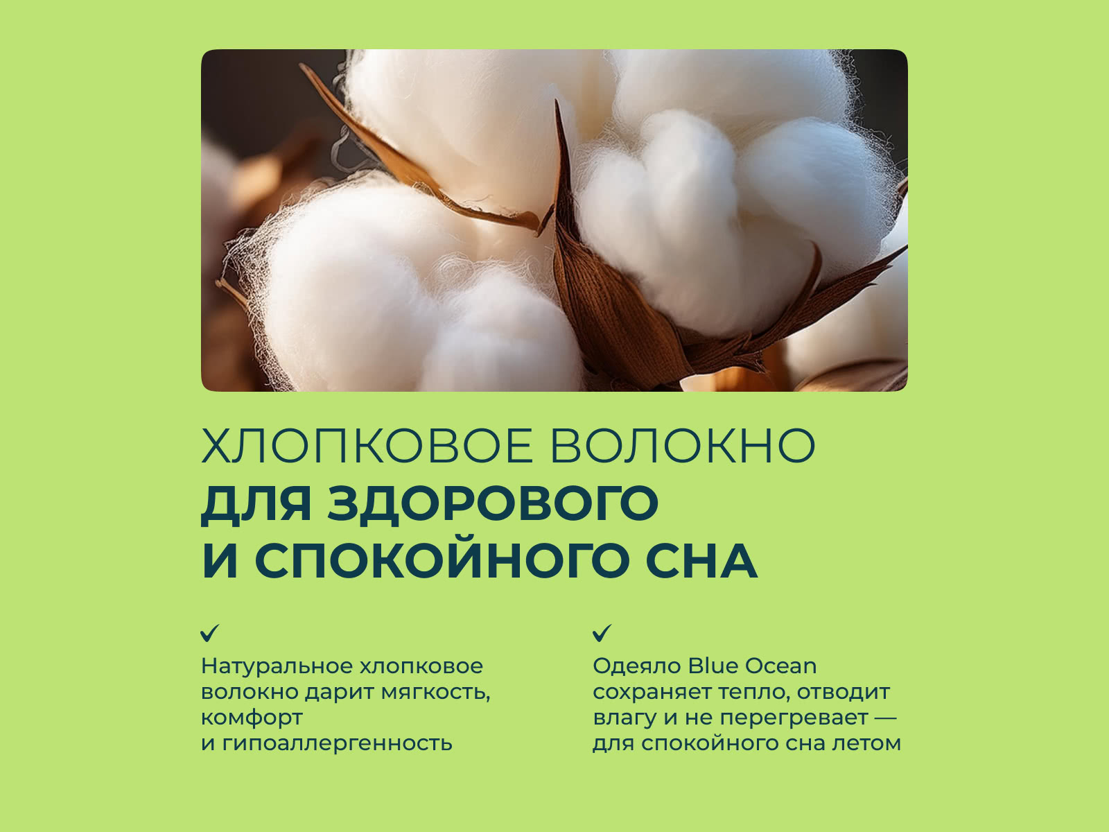 ������ Lonax Blue Ocean ������ � ���� 1726 �. � ������