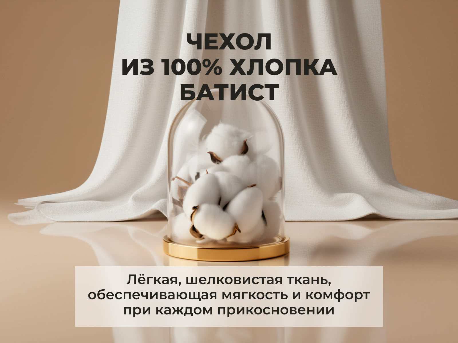 ������ ���� ���� ����