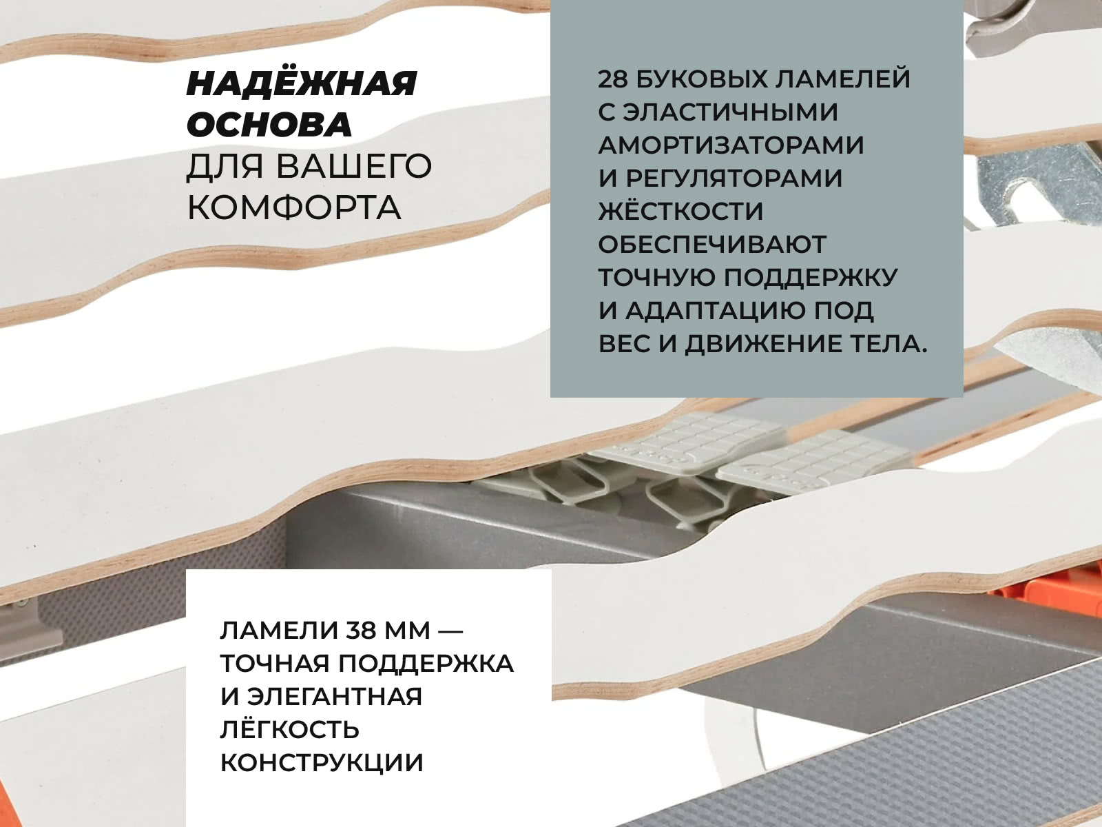 ��������� ������ �����