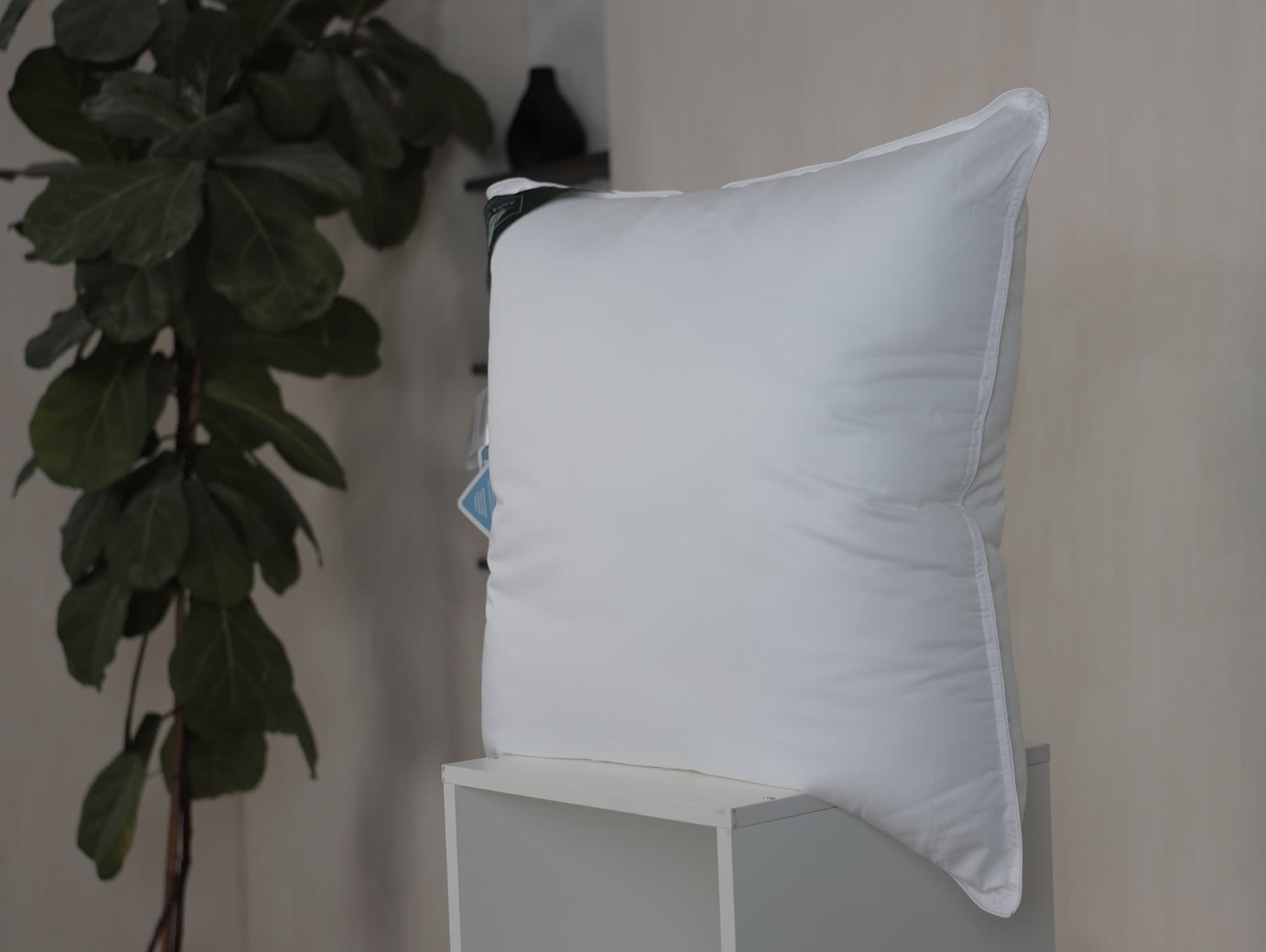 ������� Anna Flaum Aktiv 70 � ������������ ����� � 37 ��������