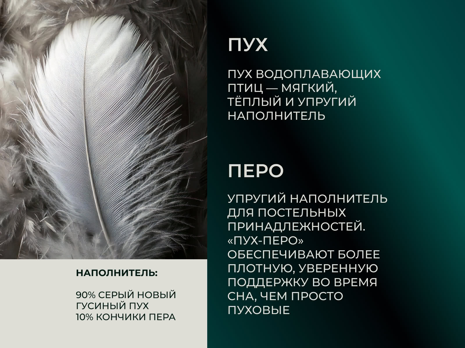 ������� Anna Flaum Fruhling 50, ������� � ���� 13360 �. � ������� ������� ���������