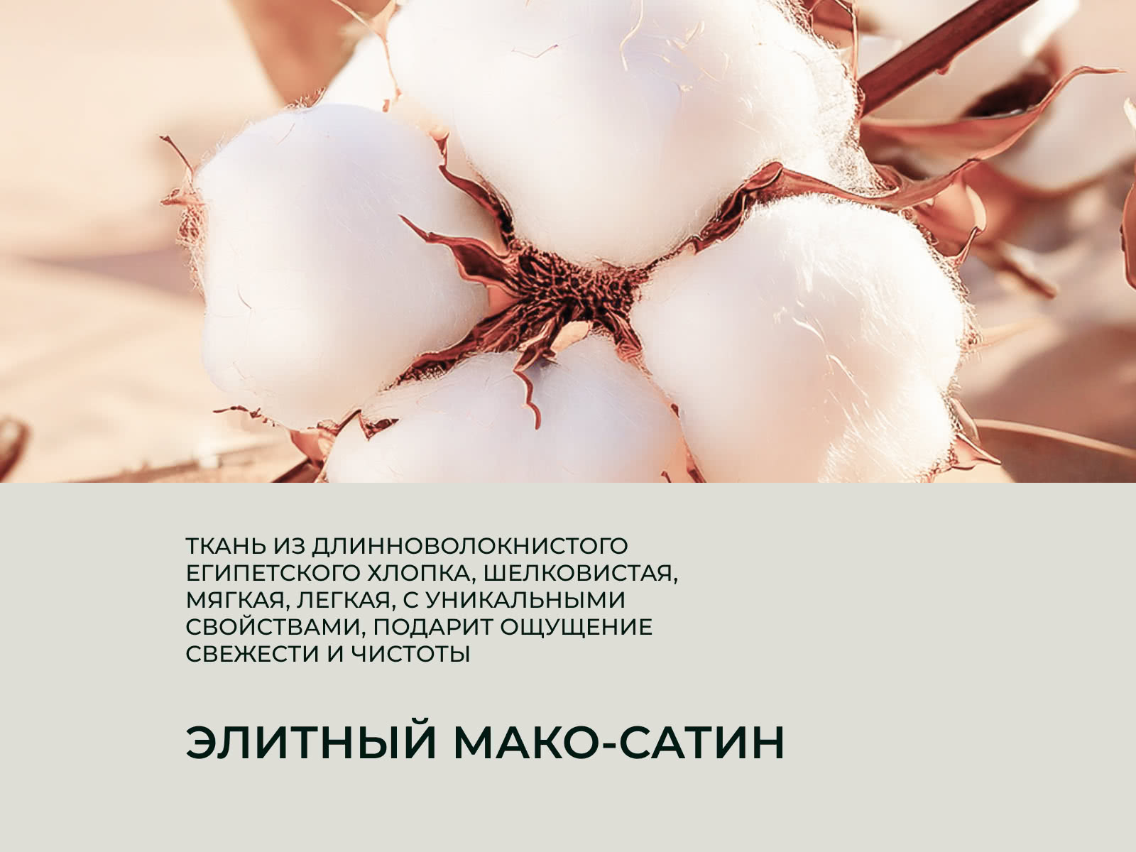 ������� Anna Flaum Merino 70�70 �� � ���������� ������� � ������������� ���