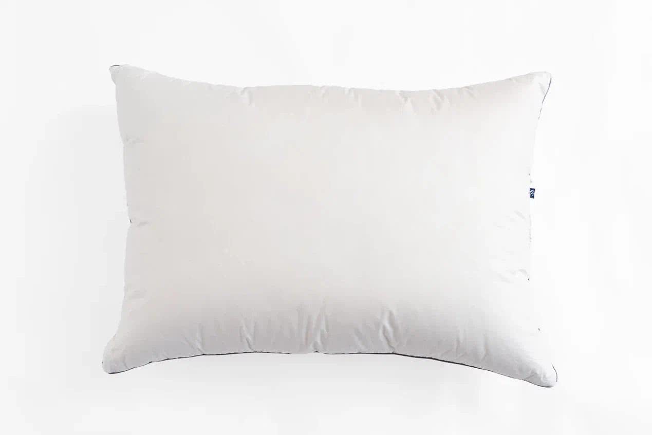 ������� ����� ������� ���� ���� ���