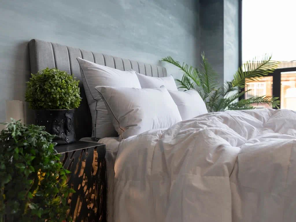 ������� Grass Familie Gray Down ���. FDN-02212 � ���� 9810 �. � ������������ �����