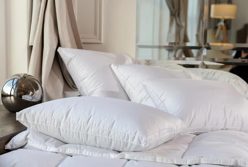 ������� ����� ������� ���� ���� ��