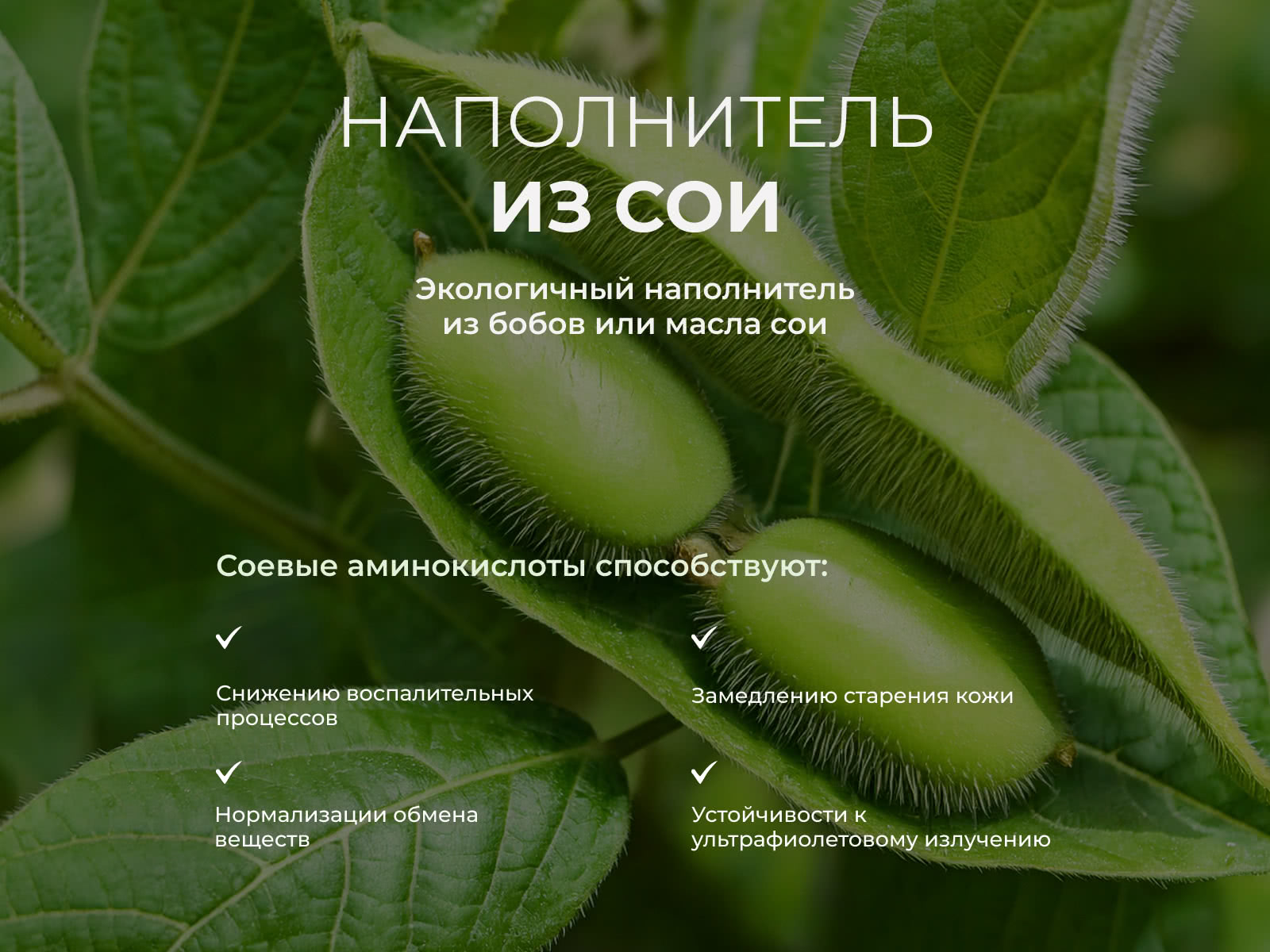 ������� Mix Soya Grande � �������� � �������� ������ � ���