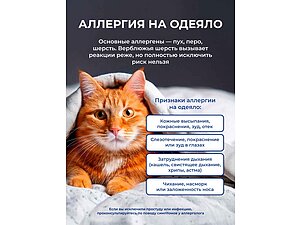 �������� �� ������ � ��������