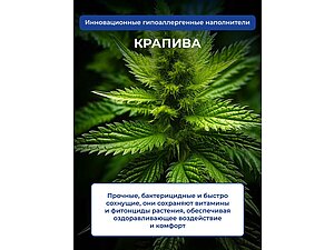 ����������� ��� ������ � �������