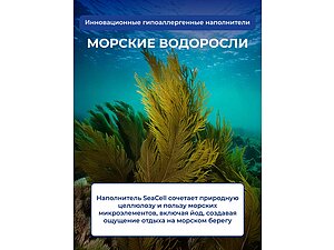 ����������� ��� ������ � ���������