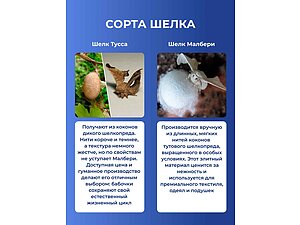 ����� ������ ���� � ����� � �������