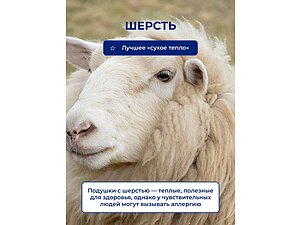 ������ ����������� ������� � ������