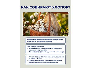 ��� �������� ������?