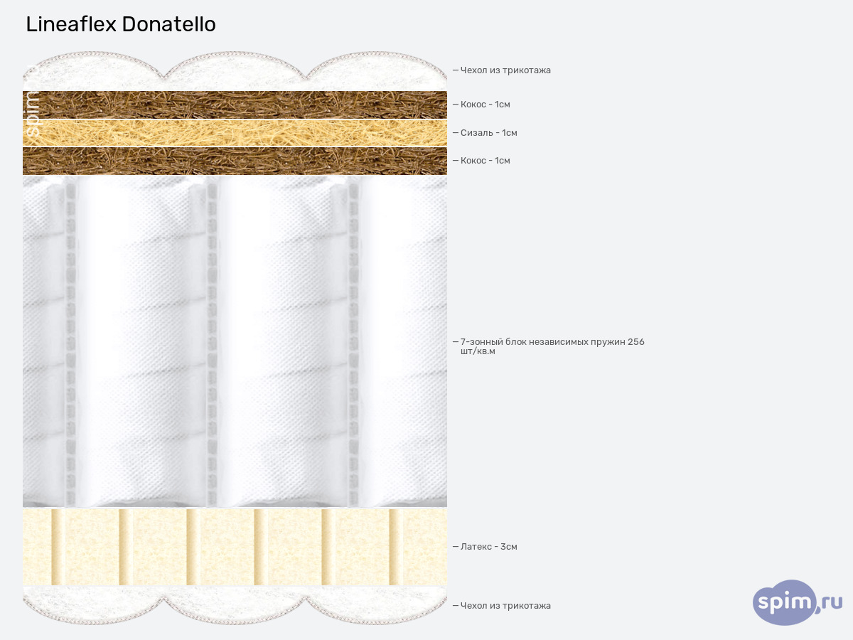 ����� ������� ������� Lineaflex Donatello � �������