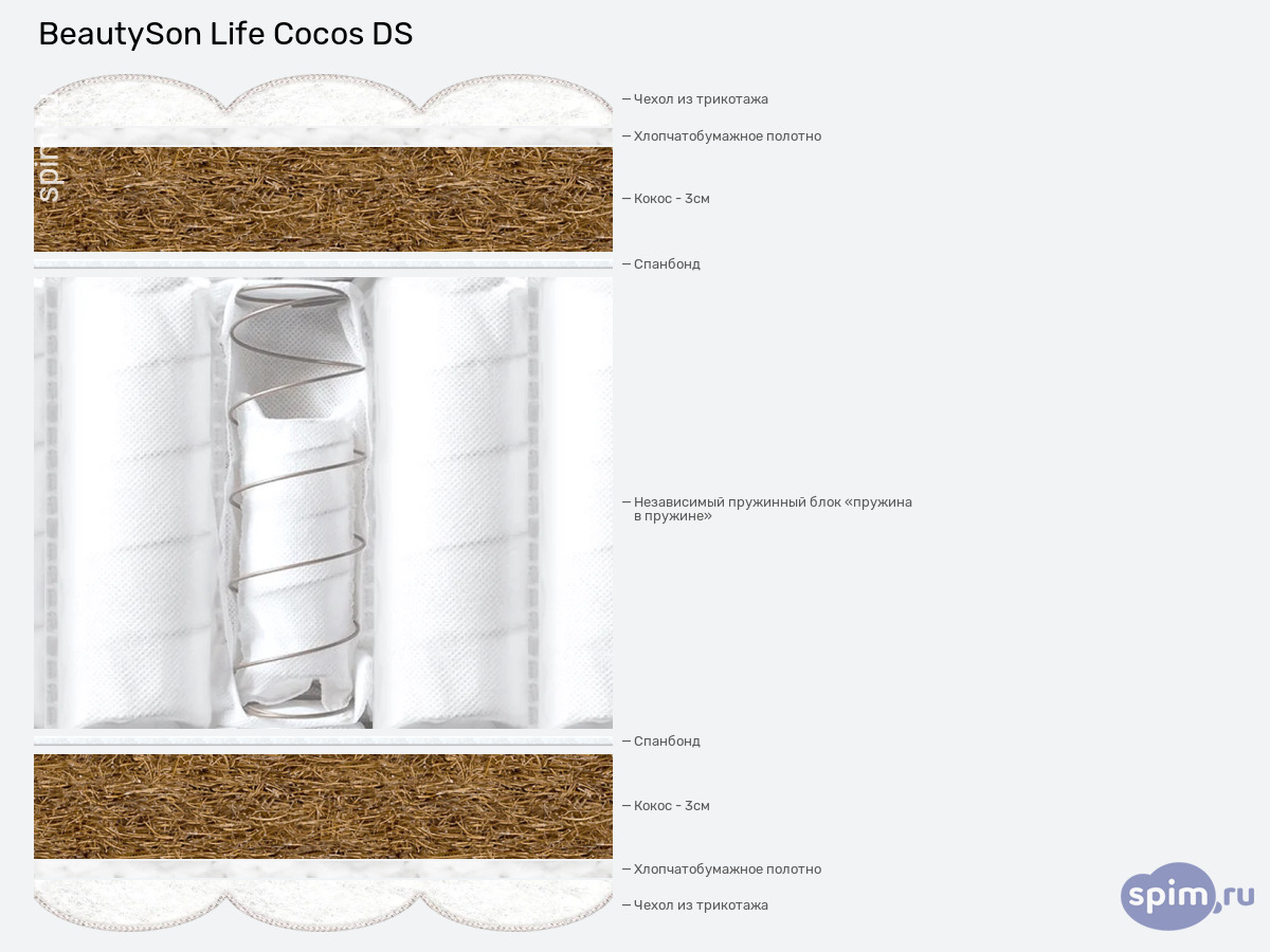 ����� ������� ������� BeautySon Cocos DS � �������