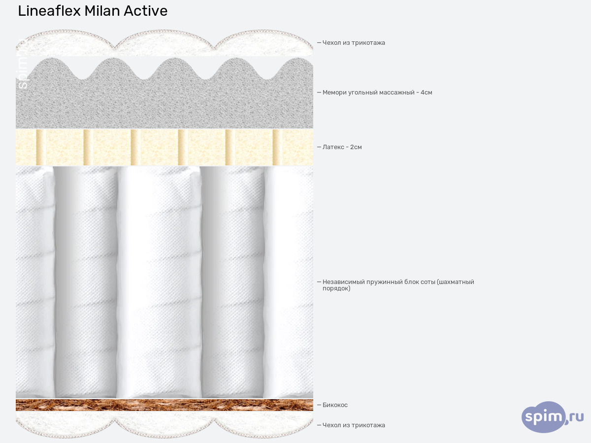����� ������� ������� Lineaflex Milan Active � �������