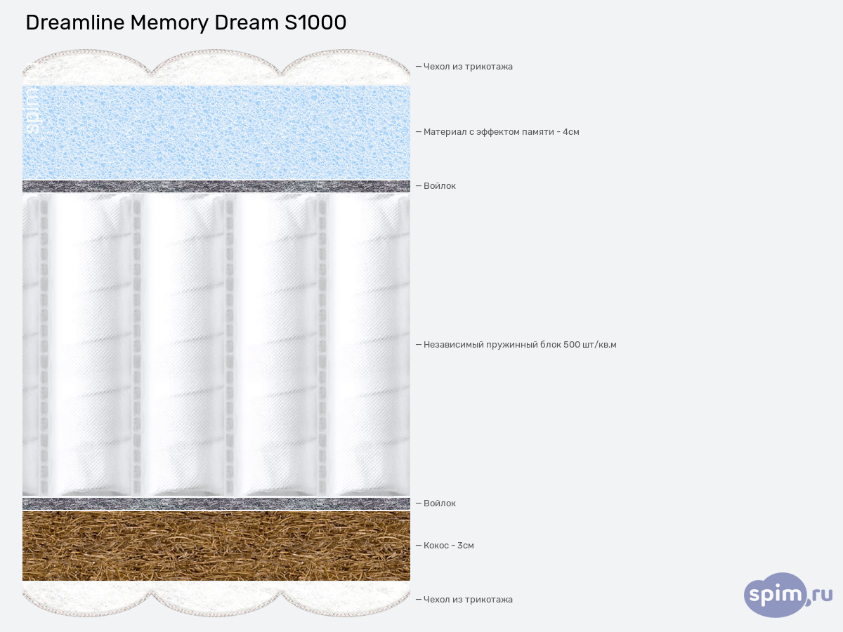 ����� ������� ������� DreamLine Memory Dream S1000 � �������