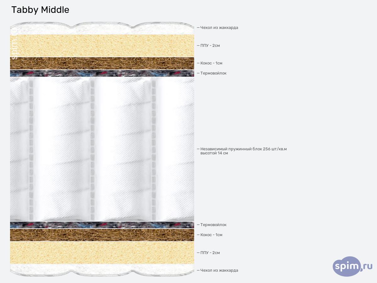 ����� ������� ������� Tabby Tabby Middle � �������