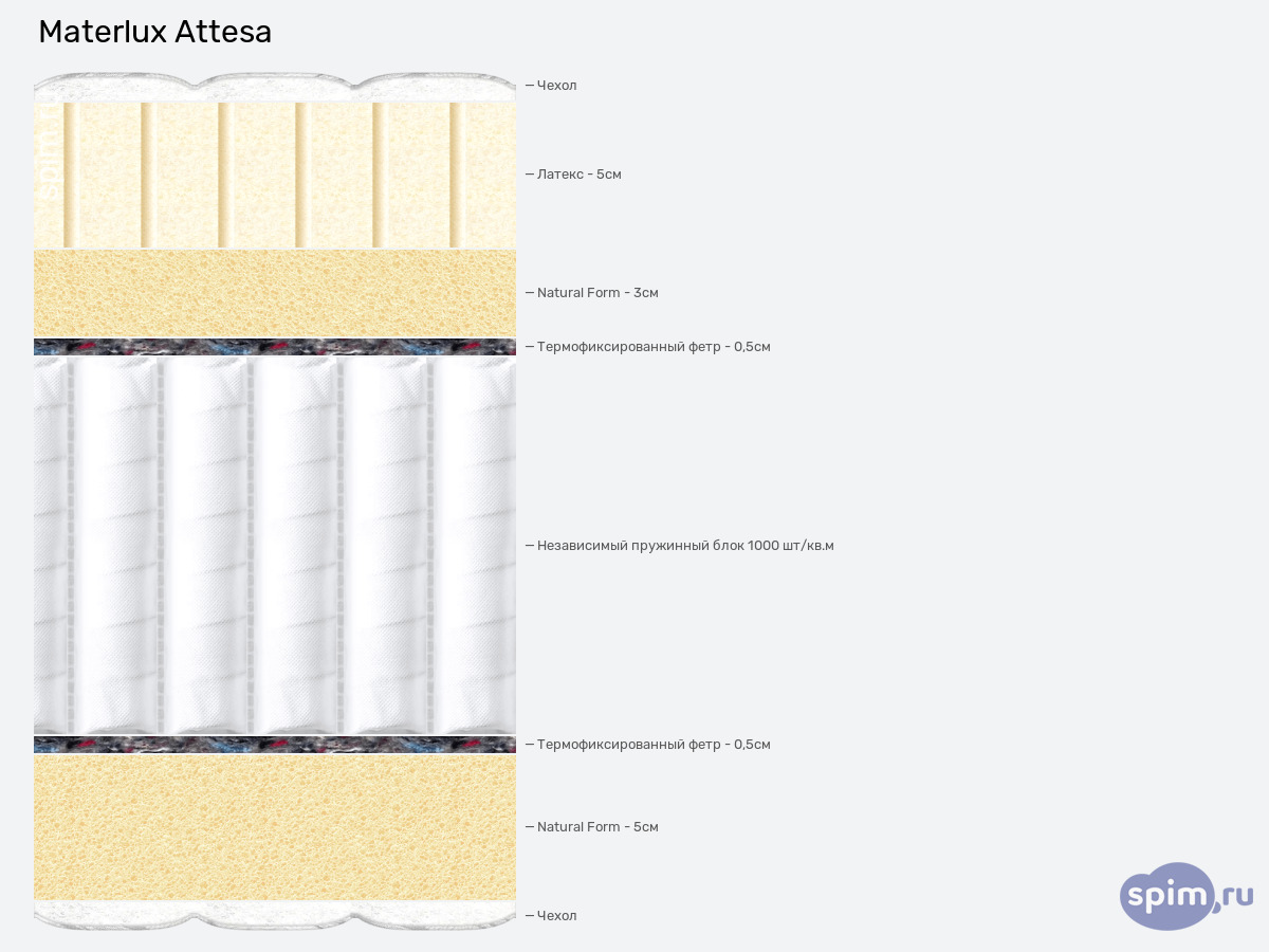 ����� ������� ������� Materlux Attesa � �������